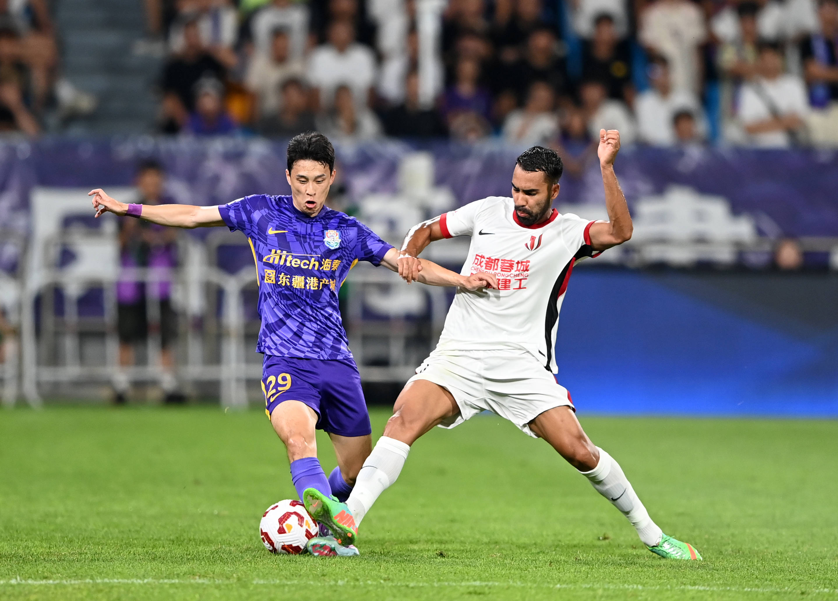 职业生涯的 职业生涯的