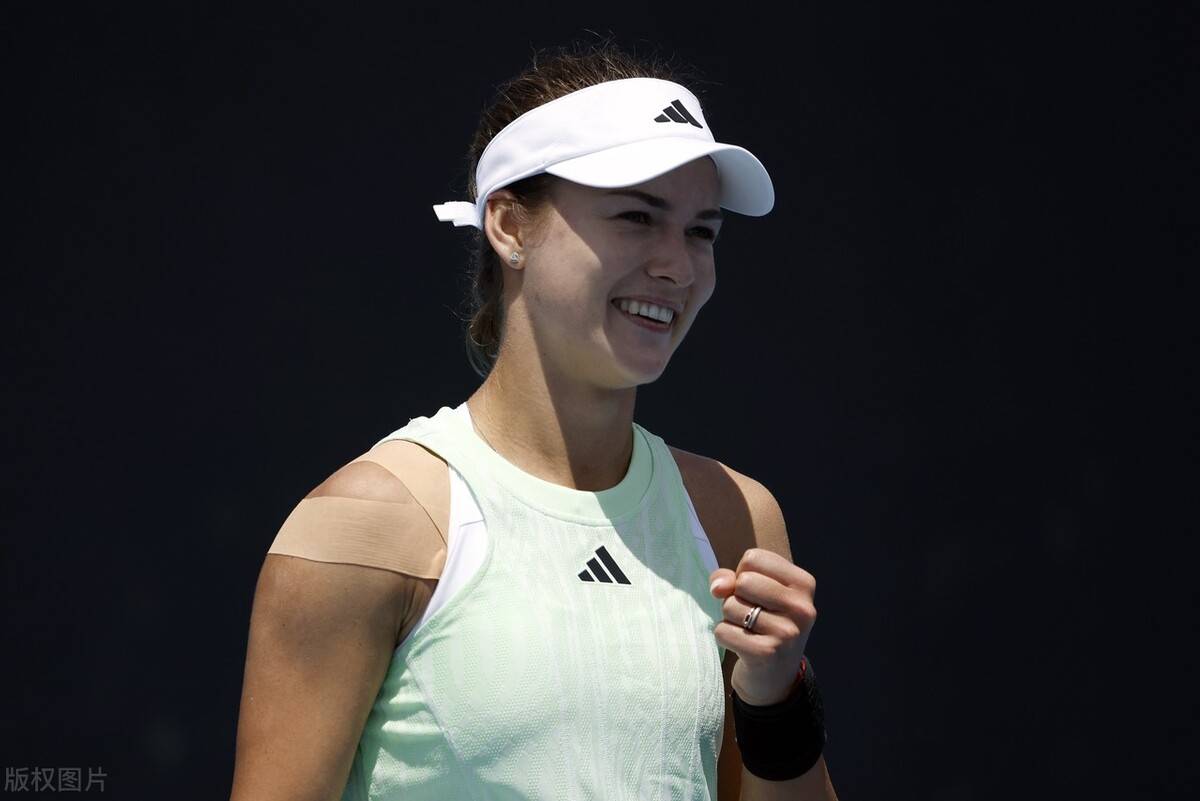 适应尼克斯 适应尼克斯